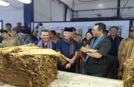 Bentoel Group Beli 9.000 Ton Tembakau dari Mitra Petani di Lombok   