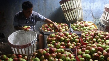 Kadin Jatim Beri Pelatihan & Pendampingan UMKM Sektor Agro