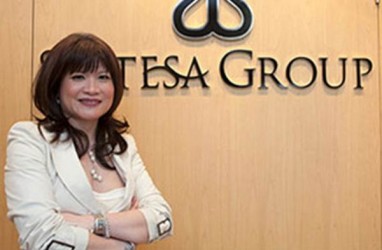 Dipilih Sekjen PBB, CEO Sintesa Group Shinta Kamdani Gabung GISD Alliance
