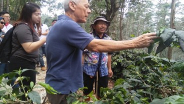 WJIS 2019: Investor Singapura Incar Kopi Jabar