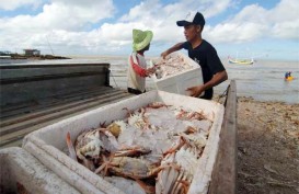 Ekspor Perikanan di Jawa Tengah Mencapai Rp2,1 Triliun