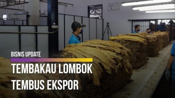 Menengok Proses Pembelian Raya Tembakau di Lombok