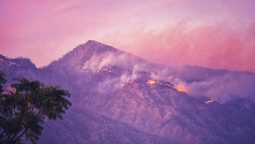 Kebakaran Rinjani, Kondisi Pendaki Dikabarkan Aman