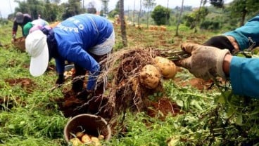 Pemerintah Disarankan Ubah Pola Subsidi Pertanian