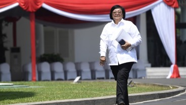 Profil Siti Nurbaya Bakar, Calon Menteri Kabinet Jokowi-Ma'ruf