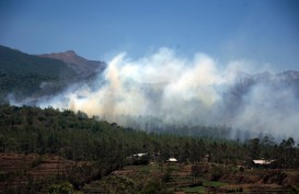 Badan Penanggulangan Bencana Siapkan Tenda Korban Kebakaran Gowa