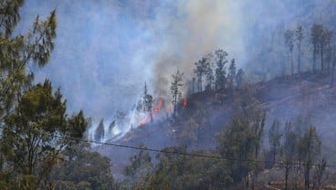 Tim Penanganan Karhutla Terjebak Kebakaran di Argopuro