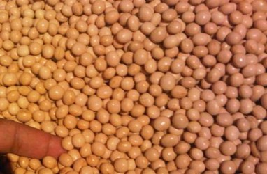 China Tawarkan Pembebasan Tarif untuk 10 Juta Ton Kedelai dari AS