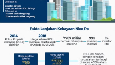 Kekayaan Nico Purnomo, Tuah Pollux di Sektor Properti Indonesia