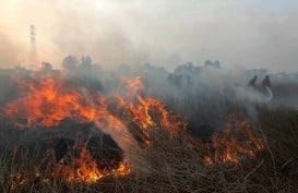 Suhu Panas, Kebakaran Alang-alang dan Gambut di Kota Bandung Meningkat