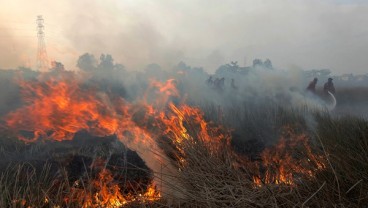 Suhu Panas, Kebakaran Alang-alang dan Gambut di Kota Bandung Meningkat