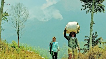 Kawasan Hutan Gunung Sumbing Seluas 16 Ha Masih Terbakar