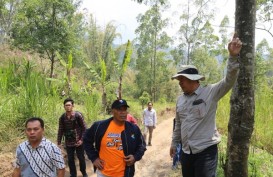 UMM Bakal Bangun Kawasan Hutan Pujon Jadi Agropark