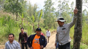 UMM Bakal Bangun Kawasan Hutan Pujon Jadi Agropark