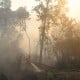 Kebakaran Kawasan Taman Nasional Gunung Ciremai sudah Hanguskan 150 Hektare