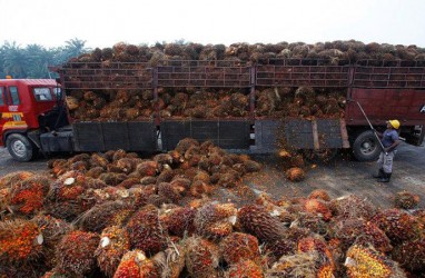 Indonesia Manfaatkan RCEP untuk Muluskan Ekspor CPO ke India
