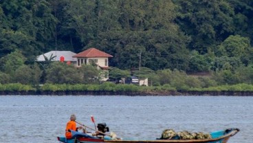 Segara Anakan kini Jadi Objek Wisata Mangrove Terlengkap di Indonesia