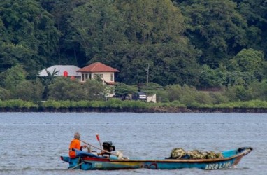 Segara Anakan kini Jadi Objek Wisata Mangrove Terlengkap di Indonesia