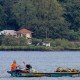 Segara Anakan kini Jadi Objek Wisata Mangrove Terlengkap di Indonesia