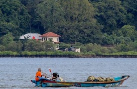 Segara Anakan kini Jadi Objek Wisata Mangrove Terlengkap di Indonesia