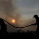 Kebakaran di Kawah Ijen dan Ranti Capai Seribuan Hektare