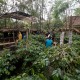 Sensasi Ngopi di Takengon, di Kedai Tengah Kebun Kopi