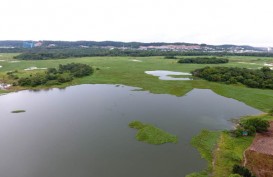 Ancam Pasok Air di Batam, 180 Hektar Eceng Gondok akan Bersihkan