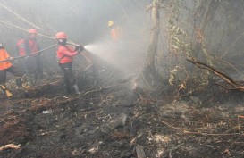 Pemadaman Karhutla Riau, BNPB Serahkan Bantuan Senilai Rp24 Miliar