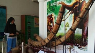 Ruang Pamer Museum Patiayam Kudus Diitata Ulang