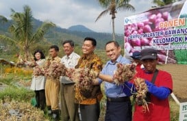 Kabupaten Malang Didorong Jadi Sentra Bawang Merah Nasional