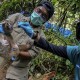 3 Kukang Jawa Dilepasliarkan di Hutan Kamojang Garut