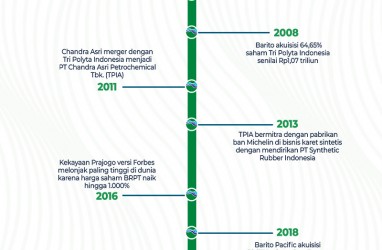 Prajogo Pangestu, Bos Kayu yang Jadi Raja Petrokimia