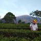 PTPN XII Bidik Pendapatan Wisata Agro Tembus Rp100 Miliar