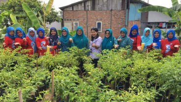 Tim Juri Gerakan Wanita Matilda Mulai Lakukan Penilaian Program Urban Farming