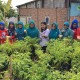 Tim Juri Gerakan Wanita Matilda Mulai Lakukan Penilaian Program Urban Farming