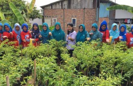 Tim Juri Gerakan Wanita Matilda Mulai Lakukan Penilaian Program Urban Farming