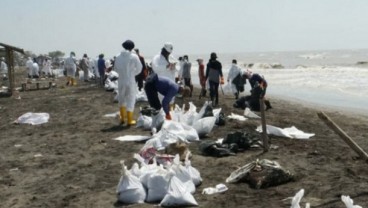 Perairan Laut Karawang Kembali Tercemar Limbah Minyak Mentah