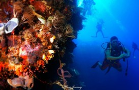 Menyelami Potensi Wisata Bawah Laut Maumere