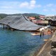 Gempa Beruntun Ambon, 94 Unit Rumah Rusak