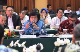 Menteri LHK Asistensi Sejumlah Gubernur Soal Kehutanan dan Lingkungan