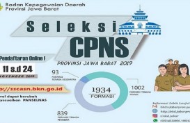 Pendaftar CPNS Capai 3 Juta, tapi yang Submit Baru 485.000 Akun