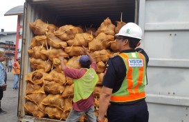 25 Kontainer Kelapa Ditolak Thailand, Eksportir Sumsel Rugi Miliaran