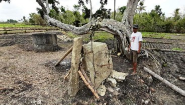 Batu Menhir Ditemukan Petani Gunungkidul, Dikira Batu Biasa