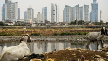 2020, OECD Tetap Proyeksikan Pertumbuhan Ekonomi Indonesia 5 Persen