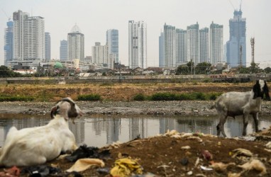 2020, OECD Tetap Proyeksikan Pertumbuhan Ekonomi Indonesia 5 Persen