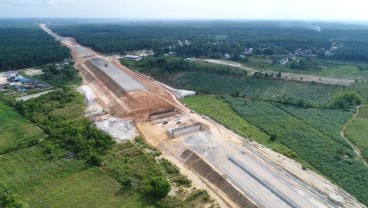 Kisah Beruang Berkeliaran di Tol Pekanbaru - Dumai