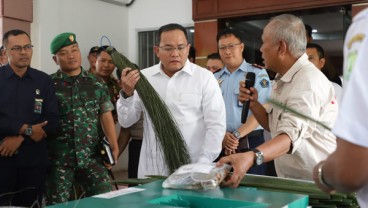 Daun Sawit bisa Jadi Pakan Ternak, Berat Hewan Naik 10 Kilogram per Bulan