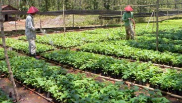 1.000 Kebun Bibit Desa Disiapkan untuk Bentuk Budaya Menanam