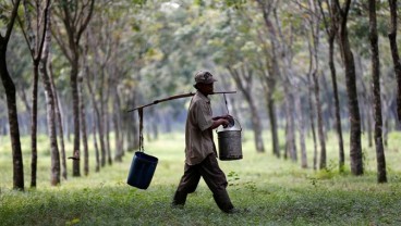 Harga Karet Naik Kena Sentimen Serangan Wabah di Tiga Negara