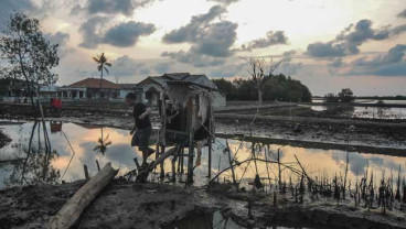 Abrasi di Kampung Beting, Bekasi
